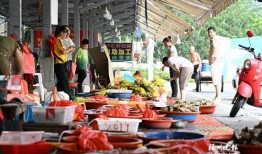 海鲜爆料海鲜视频播放,探秘海鲜视频背后的精彩瞬间