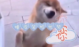 爆料版搞笑配音大全视频,搞笑配音大全视频盘点